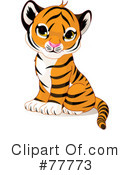 Tiger Clipart #77773 by Pushkin