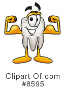 Tooth Clipart #8595 by Mascot Junction