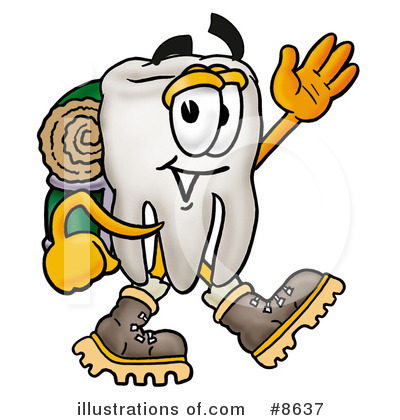 Tooth Clipart #8637 by Mascot Junction