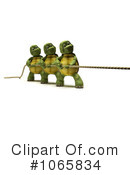 Tortoise Clipart #1065834 by KJ Pargeter
