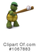 Tortoise Clipart #1067883 by KJ Pargeter