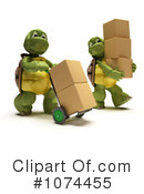 Tortoise Clipart #1074455 by KJ Pargeter
