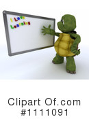 Tortoise Clipart #1111091 by KJ Pargeter
