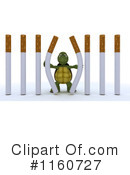 Tortoise Clipart #1160727 by KJ Pargeter