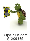 Tortoise Clipart #1209885 by KJ Pargeter
