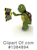 Tortoise Clipart #1384894 by KJ Pargeter