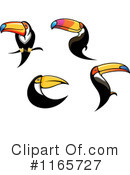 Toucan Clipart #1165727 by Vector Tradition SM