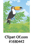 Toucan Clipart #1680442 by Alex Bannykh