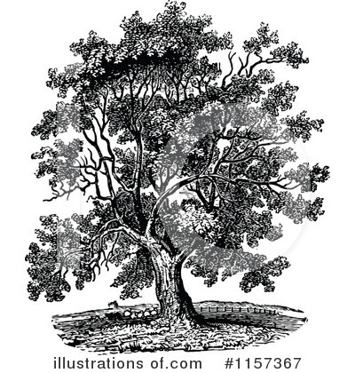 Royalty-Free (RF) Tree Clipart Illustration by Prawny Vintage - Stock Sample #1157367
