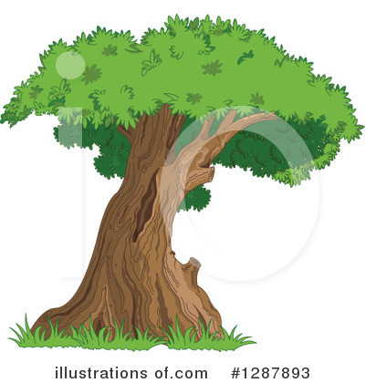 Tree Clipart #1287893 by Pushkin