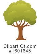 Tree Clipart #1601645 by visekart