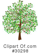 Tree Clipart #30298 by elaineitalia