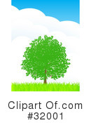Tree Clipart #32001 by elaineitalia