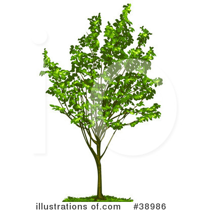 Royalty-Free (RF) Tree Clipart Illustration by Tonis Pan - Stock Sample #38986