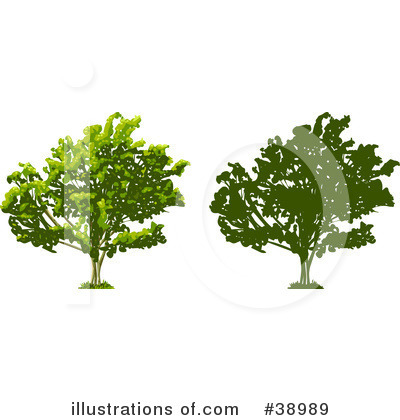 Tree Clipart #38989 by Tonis Pan