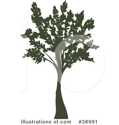 Tree Clipart #38991 by Tonis Pan