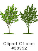 Tree Clipart #38992 by Tonis Pan