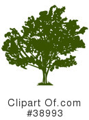 Tree Clipart #38993 by Tonis Pan