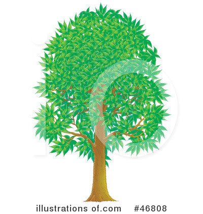 Royalty-Free (RF) Tree Clipart Illustration by Alex Bannykh - Stock Sample #46808