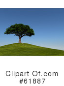 Tree Clipart #61887 by ShazamImages