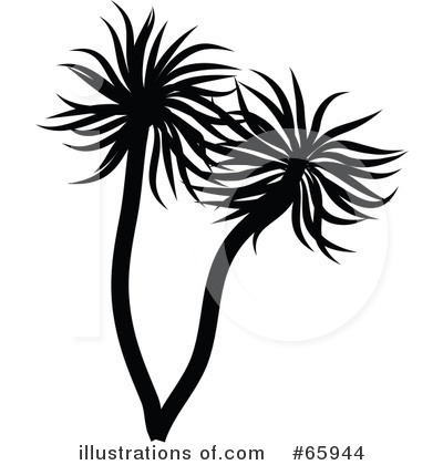 Palm Tree Clipart #65944 by Prawny