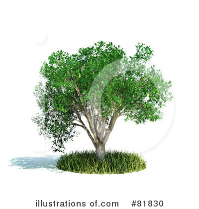Royalty-Free (RF) Tree Clipart Illustration by Mopic - Stock Sample #81830