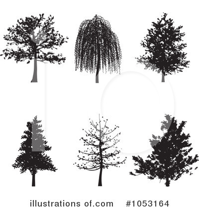 Willow Tree Clipart #1053164 by KJ Pargeter