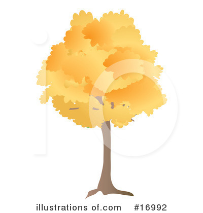 Trees Clipart #16992 by Rasmussen Images