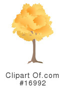Trees Clipart #16992 by Rasmussen Images