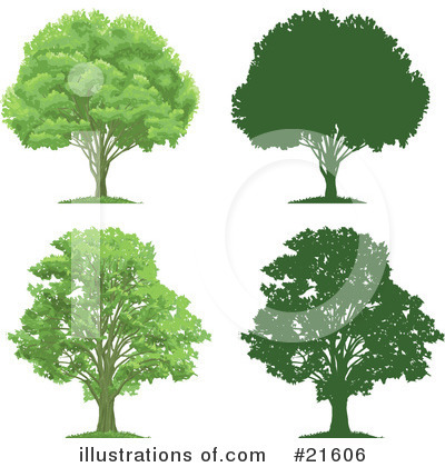 Trees Clipart #21606 by Tonis Pan