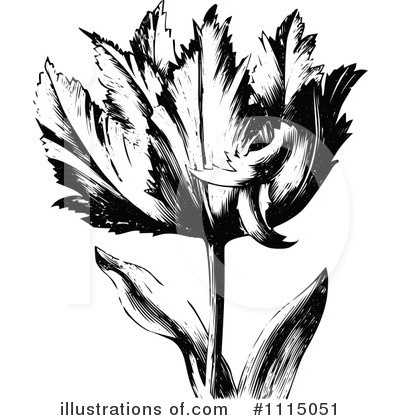 Royalty-Free (RF) Tulip Clipart Illustration by Prawny Vintage - Stock Sample #1115051