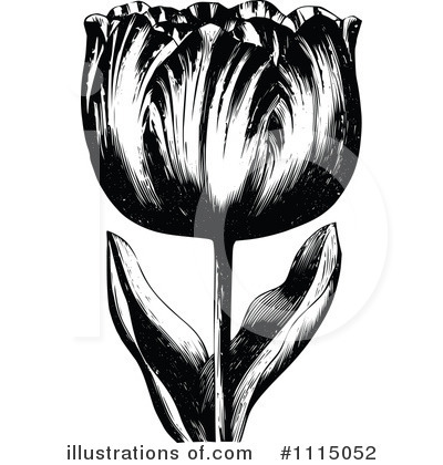 Royalty-Free (RF) Tulip Clipart Illustration by Prawny Vintage - Stock Sample #1115052