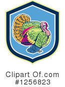 Turkey Bird Clipart #1256823 by patrimonio