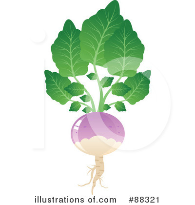 Royalty-Free (RF) Turnip Clipart Illustration by Tonis Pan - Stock Sample #88321