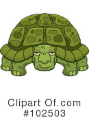 Turtle Clipart #102503 by Cory Thoman