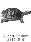 Turtle Clipart #1101519 by BestVector
