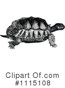 Turtle Clipart #1115108 by Prawny Vintage