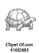 Turtle Clipart #1683885 by patrimonio