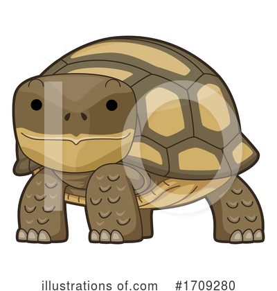 Tortoise Clipart #1709280 by BNP Design Studio