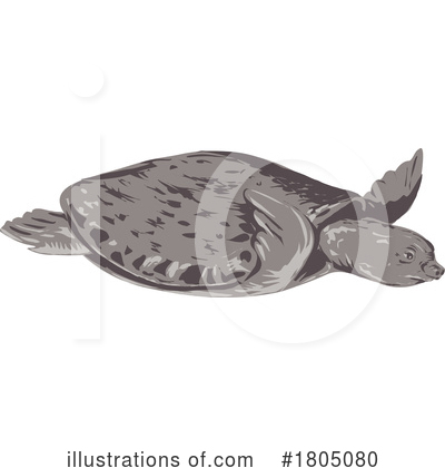 Royalty-Free (RF) Turtle Clipart Illustration by patrimonio - Stock Sample #1805080