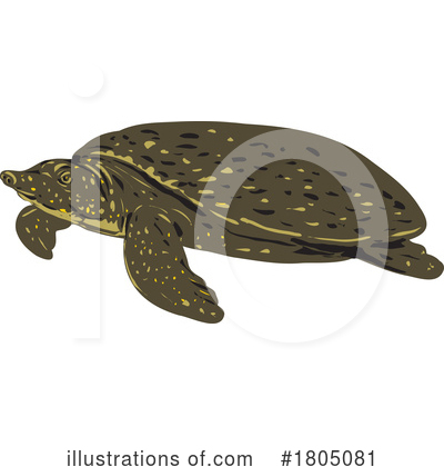 Royalty-Free (RF) Turtle Clipart Illustration by patrimonio - Stock Sample #1805081