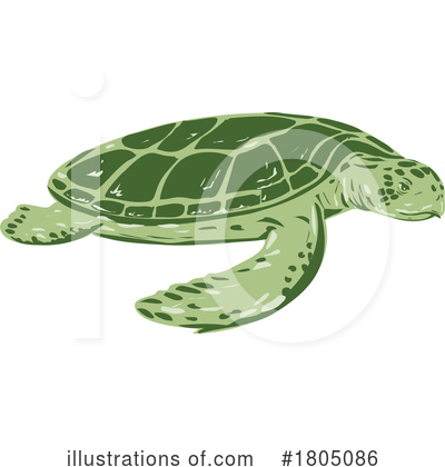 Royalty-Free (RF) Turtle Clipart Illustration by patrimonio - Stock Sample #1805086