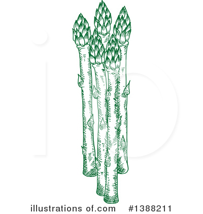 Asparagus Clipart #1388211 by Vector Tradition SM