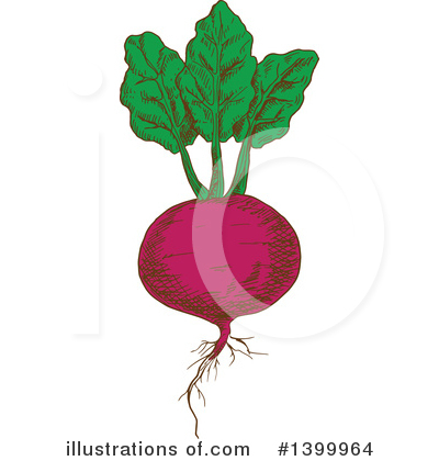 Beets Clipart #1399964 by Vector Tradition SM