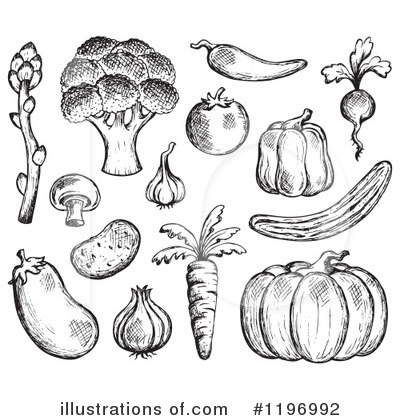 Carrot Clipart #1196992 by visekart