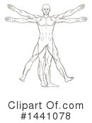 Vitruvian Man Clipart #1441078 by AtStockIllustration