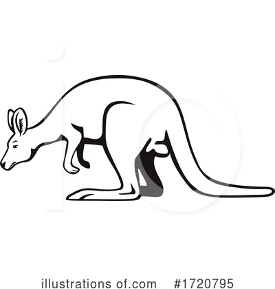 Wallaby Clipart #1720795 by patrimonio