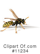 Wasp Clipart #11234 by Leo Blanchette