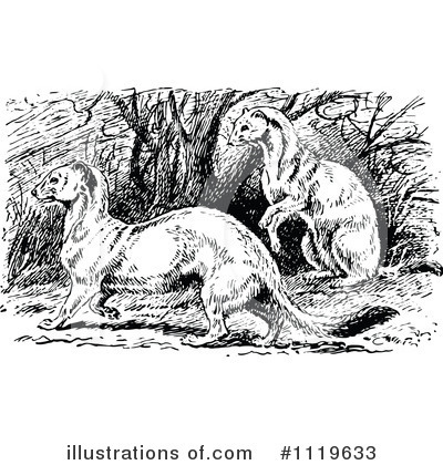 Royalty-Free (RF) Weasel Clipart Illustration by Prawny Vintage - Stock Sample #1119633