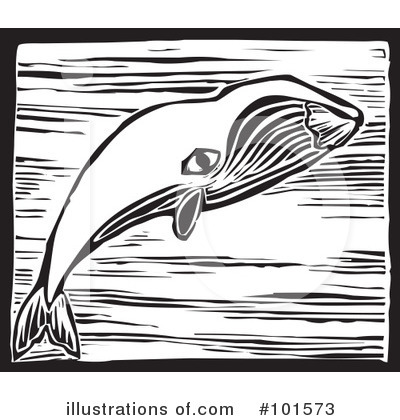 Whale Clipart #101573 by xunantunich